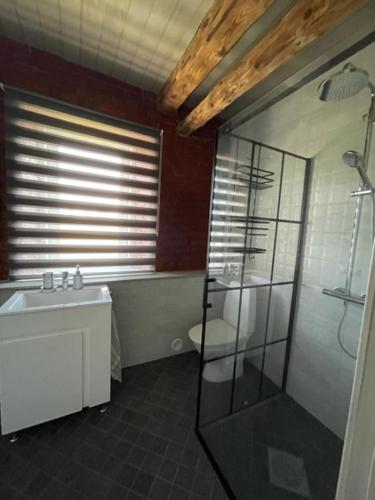 a bathroom with a sink and a shower and a toilet at Sauna ja nelja magamistoaga Kasemäe puhketalu in Tealama