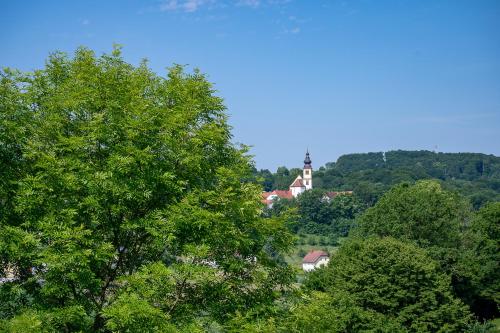 a church on top of a hill with trees at Residenz Styrian Toskana Splendid in Bad Gleichenberg