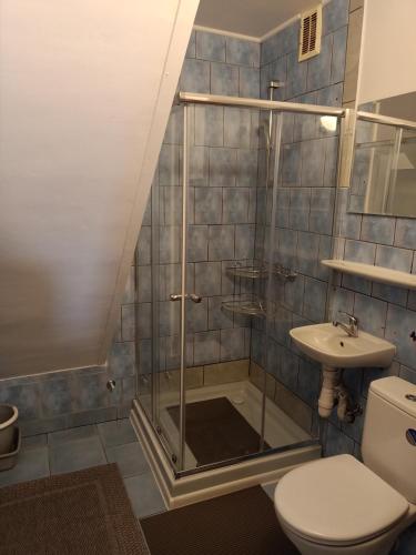 a bathroom with a shower and a toilet and a sink at Mieszkanie w domu wielorodzinnym in Ryn