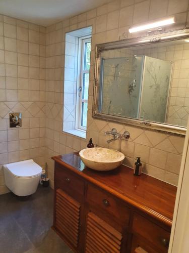 a bathroom with a sink and a toilet at Lillevang bed & breakfast in Sorø