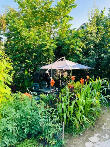 Zahrada ubytování Guest House Barbi