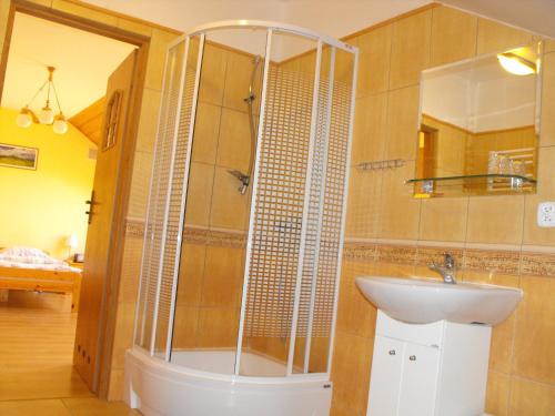 a bathroom with a shower and a sink at U Eskulapa in Lutowiska