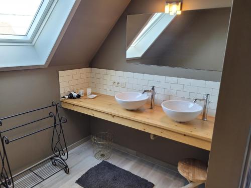 Koupelna v ubytování vakantiewoning hoeve 'd oude scheure