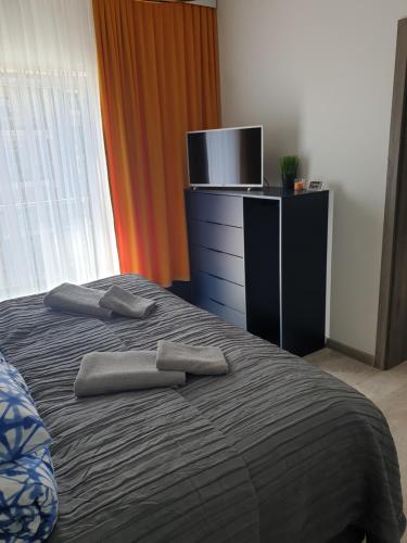 a bedroom with a bed with a dresser and a tv at Apartament Wygodny 5 Mórz in Sianozety