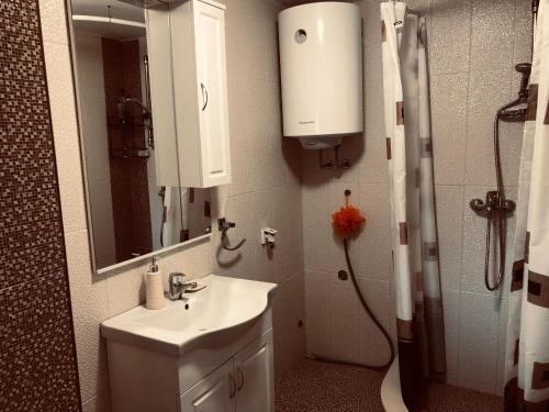 een badkamer met wastafel en douche met spiegel bij Apartments Panoramic Paradise in Kotor