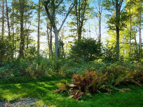 a garden with green grass and trees and bushes at 4 person holiday home in BRAÅS-By Traum in Harshult