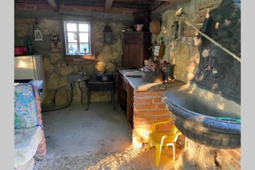 eine Küche mit Badewanne im Zimmer in der Unterkunft Apartma Jožica in Tonček in Sveti Jurij ob Ščavnici