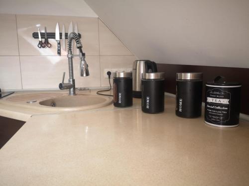 Η κουζίνα ή μικρή κουζίνα στο Apartamenty LENA 16 TWOJE poddasze