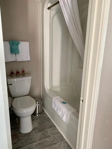 1726 Ocean View Galore Pet Friendly photo 35