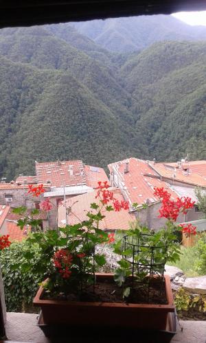 a view of a city from a balcony with red flowers at Casa poggio delle farfalle in Stazzema