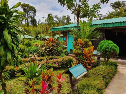 a garden in front of a house with plants at Posada Río Celeste La Amistad in Rio Celeste