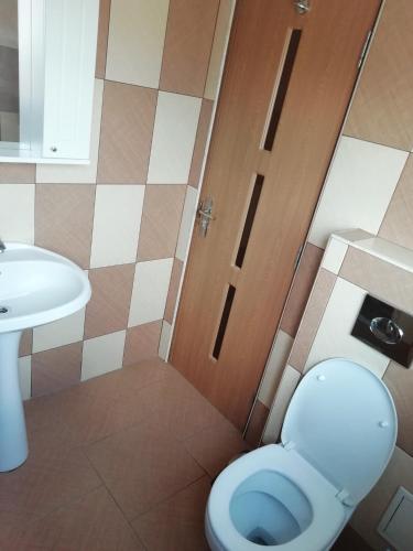 a bathroom with a toilet and a sink at Casa Leah in Râşnov