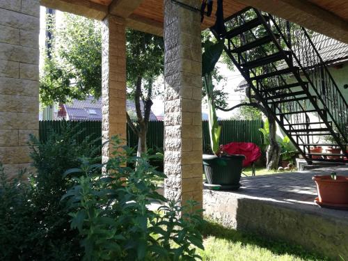einen Garten mit einer Pergola und einigen Pflanzen in der Unterkunft Casa Leah in Râșnov