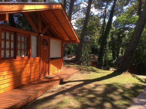 Cabaña de madera pequeña con porche y árbol en Cabañas Entre Pinos en Villa Gesell