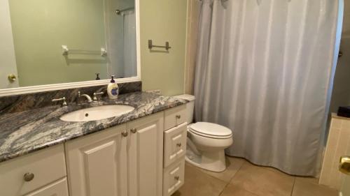 La salle de bains est pourvue d'un lavabo, de toilettes et d'un miroir. dans l'établissement º Tropical Escape Sarasota º Experience Florida Up-close!, à Sarasota