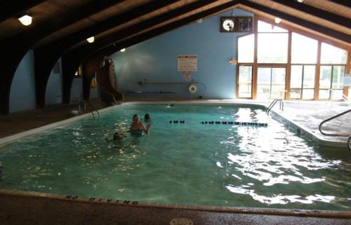 a group of people swimming in a swimming pool at LOJ BNB in Morley