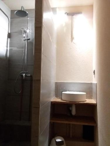 une salle de bain avec un lavabo et une douche dans l'établissement Les Terrasses du Mont blanc, à Praz de Lys - Sommand