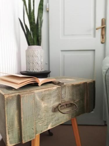 an old trunk with a book on a table with a plant at MAPLE place in Pivka