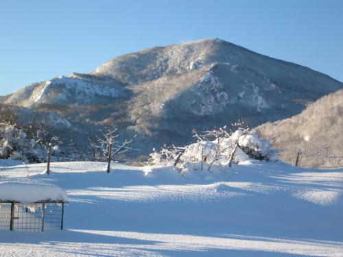 a snow covered field with a mountain in the background at Hotel Pietrapanna in Calvello