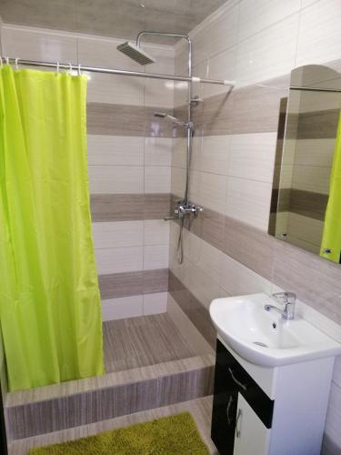 a bathroom with a green shower curtain and a sink at Гостинний двір" Живиця" ЧАН in Mizhhirʼʼya