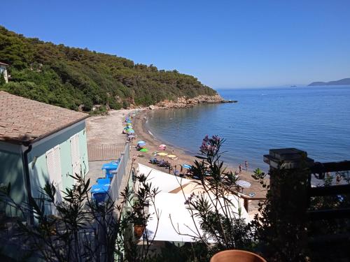 uma praia com guarda-sóis e pessoas na praia em B&B LE FORNACELLE em Rio Marina