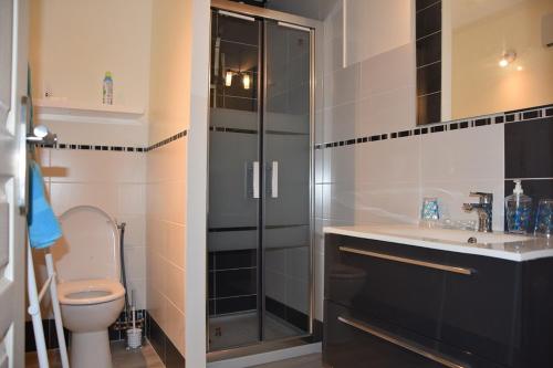 Sinsat的住宿－La glycine，带淋浴、盥洗盆和卫生间的浴室