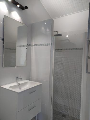 une salle de bain blanche avec un lavabo et une douche dans l'établissement Domaine Moulin D' Elemiah, à Gémozac