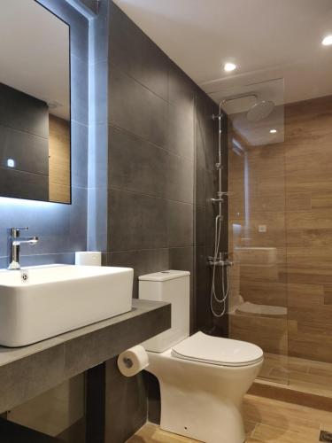 W łazience znajduje się toaleta, umywalka i prysznic. w obiekcie Sunny new lovely apartment 60 meters from the metro w Atenach
