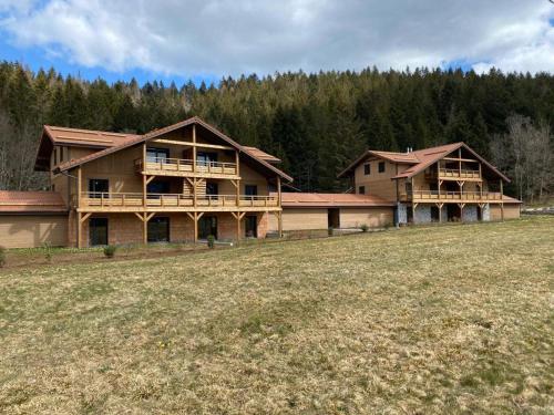a couple of large wooden houses in a field at Résidence les biches in Xonrupt-Longemer
