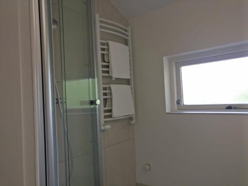 a bathroom with a glass shower and a window at Villa Hassel in Middelfart