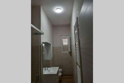 La salle de bains est pourvue d'un lavabo et de toilettes. dans l'établissement Parco Nazionale Cilento e Vallo di Diano Apartment, à Casalbuono