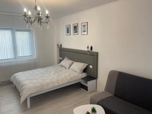 ein Schlafzimmer mit einem Bett und einem Sofa in der Unterkunft Casa Andreea in Sînmartin