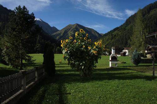 a field with a bush of sunflowers at Appartements Gärtner in Bichlbach