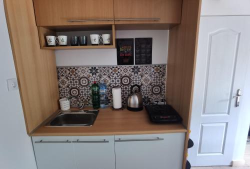 a small kitchen with a sink and a counter at Zona Apartments 2 in Zrenjanin