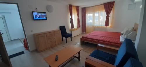 ein Zimmer mit einem Bett, einem Schreibtisch und einem Fernseher in der Unterkunft Apartamente Casa Cristina in Pensiune la 400m de Pârtia de ski in Buşteni