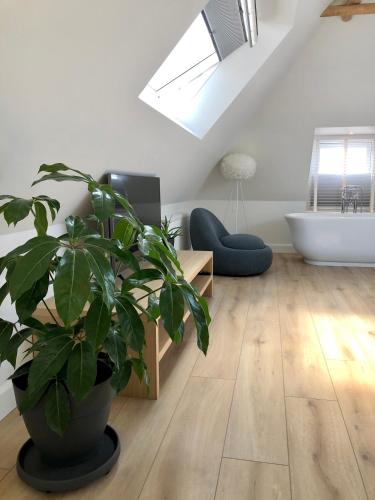 a living room with a plant in a large pot at Fietshotel Zee van Tijd Holwerd in Holwerd