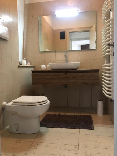 een badkamer met een wastafel, een toilet en een spiegel bij Casa Tina in Verona