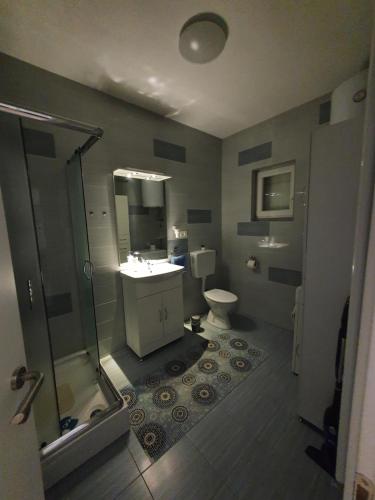 a bathroom with a shower and a sink and a toilet at Apartman Luce in Krk