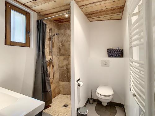 a bathroom with a toilet and a shower at T2 Robion luberon in Robion en Luberon