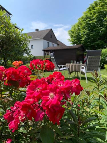 a bunch of red flowers in a garden at Tinytimeout Westerwald in Ellar