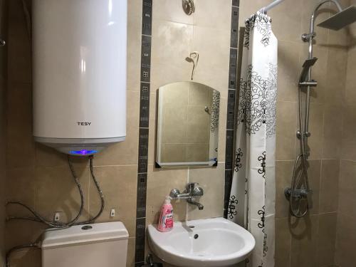 uma casa de banho com um lavatório, um espelho e um WC. em Ssenyange Guest House em Varna City