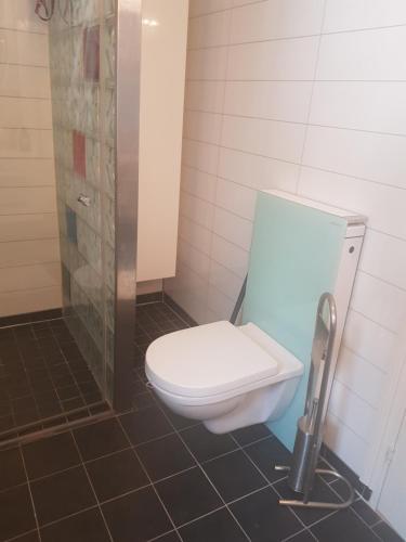 a bathroom with a toilet and a shower at Villa Myklebostad in Sand