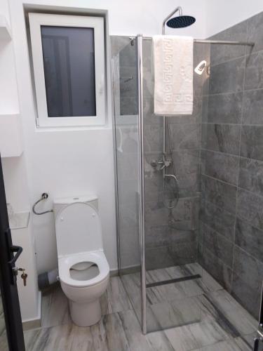 a bathroom with a shower and a toilet at Casa KIM in Eforie Nord