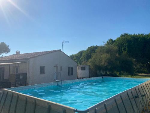une grande piscine avec de l'eau bleue dans une cour dans l'établissement petit coin de paradis en camargue entre Aigues mortes et les saintes maries de la mer, animaux bienvenus, à Vauvert