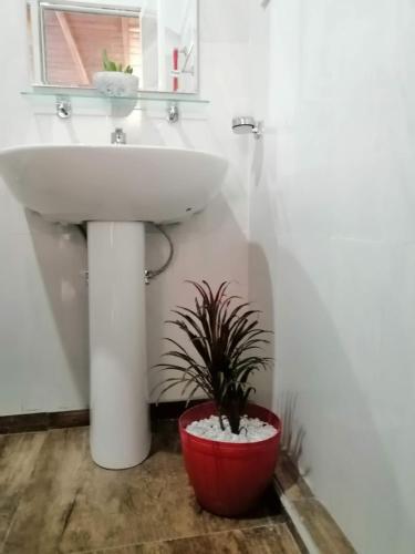 a bathroom with a sink and a potted plant at Moon Plains Luxury Apartments in Nuwara Eliya