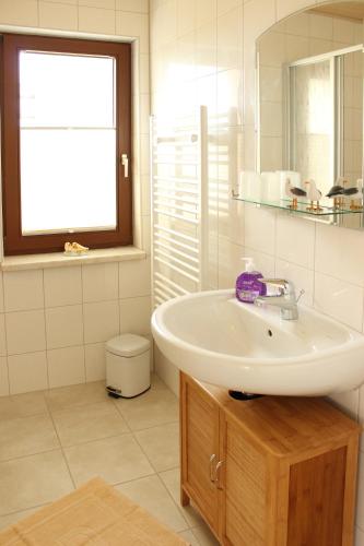 a bathroom with a sink and a mirror at Ferienhaus Segebrecht in Zirchow