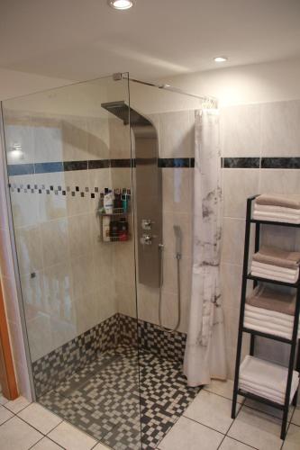 a shower with a glass door in a bathroom at Kroatien Villa Merćepi in Katuni