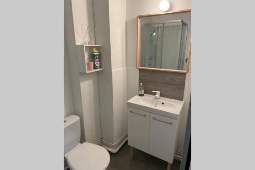 une salle de bain avec toilettes, lavabo et miroir dans l'établissement Appartement studio avec terrasse et jardin privés, à Boulogne-sur-Mer