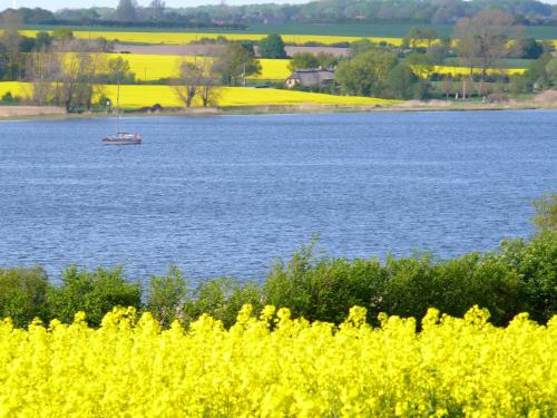 a boat in the middle of a large body of water at Ostsee Ferienhäuser in Waabs