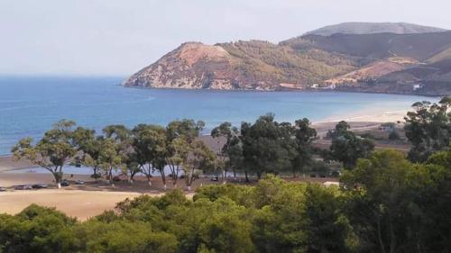 a view of a beach with trees and the ocean at Amsabeach in Chozas